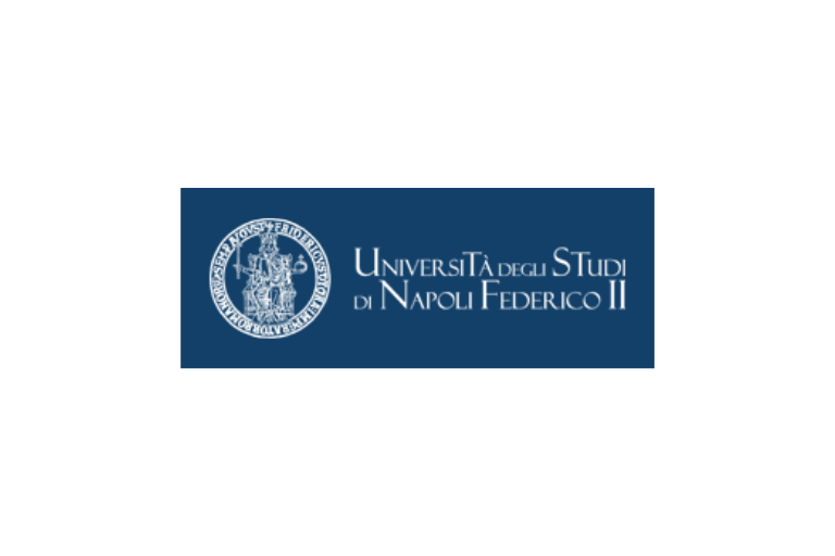 University of Naples logo